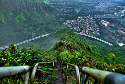 isliehawaii:  Stairway to Heaven  The steep 4,000 steps  