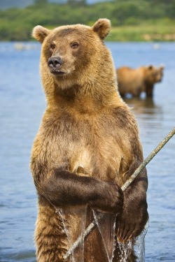 magicalnaturetour:  Fisherman by sergeyivanov