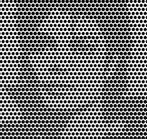 FIQUE VESGO E OLHE A IMAGEM, O QUE VOCE VE?