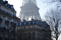 film-grain:  Paris street view of Eiffel