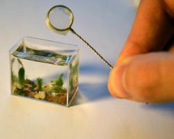 thedailywhat:  Above: The world’s smallest aquarium, by Russian artist Anatoly Konenk. (via.) 
