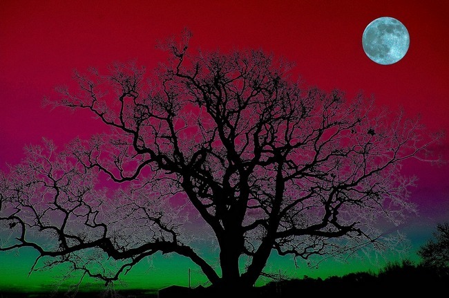 ǝverglow