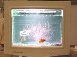 wwiao:  niggets:  is that a computer  no its a hamster cage  reblogging for ^ + fish abuse (or lack thereof) awareness 