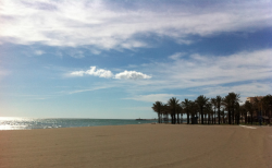 2011-02-22 - Torremolinos, Málaga, España