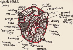 hellanne:  The human heart. (by CHLOEHANNAHPARR) 