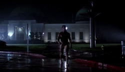 pintosframes:  Arnold Schwarzenegger, O Exterminator do Futuro (The Terminator, 1984)