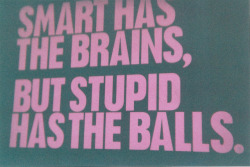 -volare:  Smart has the brains, but stupid has the balls. (by Eduardo Lazo)