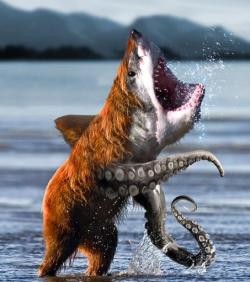 kiaraface:  SHARKBEARPUSS  ROTFL! what theeee?