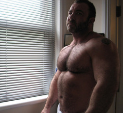 Hunky Studs and Bears