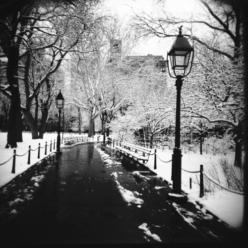 bagnostian:  washington square park, nyc. (Holga) 