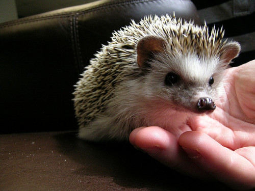 ommmmmmmmmmmmg.