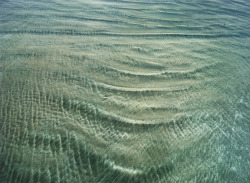 Green Wave, Mazatlan, Mexico photo by Ernst Haas, 1963