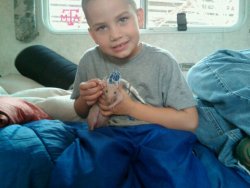 blaqkheaven:  I just realized I didn’t Tumbl about it.  This is my pet rat, Puget, and my nephew Levi.  I’ve had Puget since December of 08. He’s been my (basically) best friend.  He passed away Friday morning, with my furred rat, Abraxas, curled