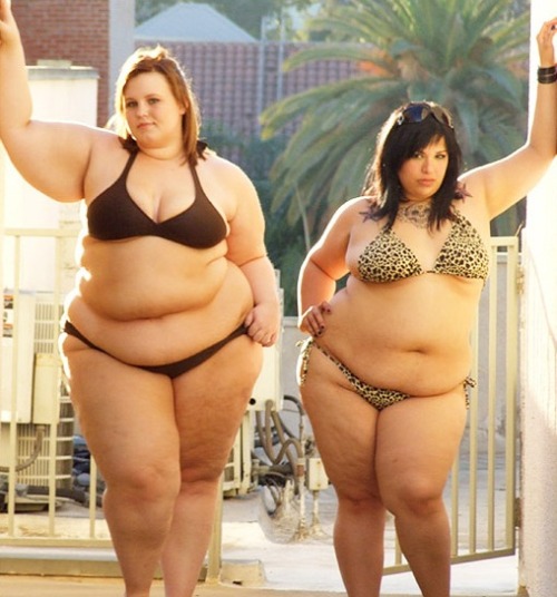 Chubfatuation