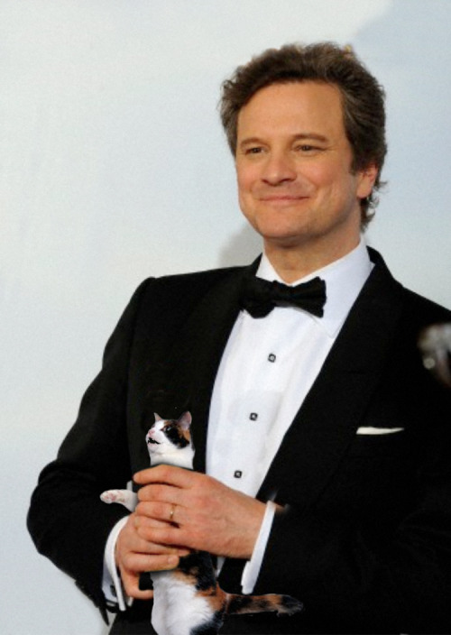 insooutso:Colin Firth Seen Choking a Kitten to Death Backstage at the Academy Awards (Reuters)This i