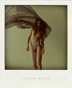 Keira Grant http://davidhiltonphoto.tumblr.com/