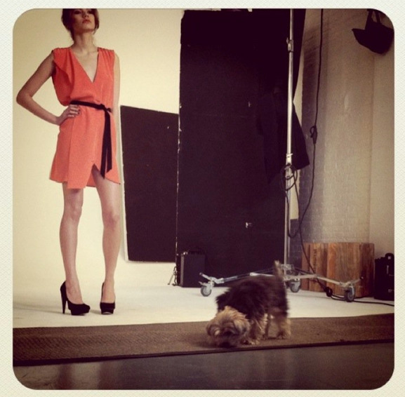 A behind the scenes look at the SENA Fall/Winter 2011 Lookbook Shoot at ShootDigital. Pictured is fresh faced beauty Olga Romanova from Women Management and the unofficial SENA mascot Frank the Yorkie who belongs to Makeup Artist Erin Green.