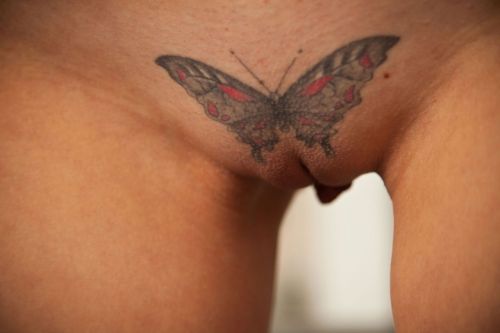 XXX Nice butterfly photo