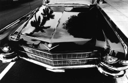 Cadillac On Worth Avenue, Palm Beach, Florida Photo By Frank Paulin, 1967