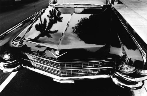 Cadillac on Worth Avenue, Palm Beach, Florida adult photos