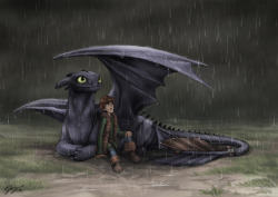 deviantart:  How To Train Your Dragon by