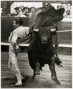 thedoppelganger:  The Drama of a Bullfight,