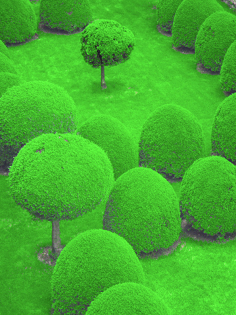 incubi:  Topiary (by Ruth Hallam) 
