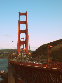 San francisco for spring break? Most likely.