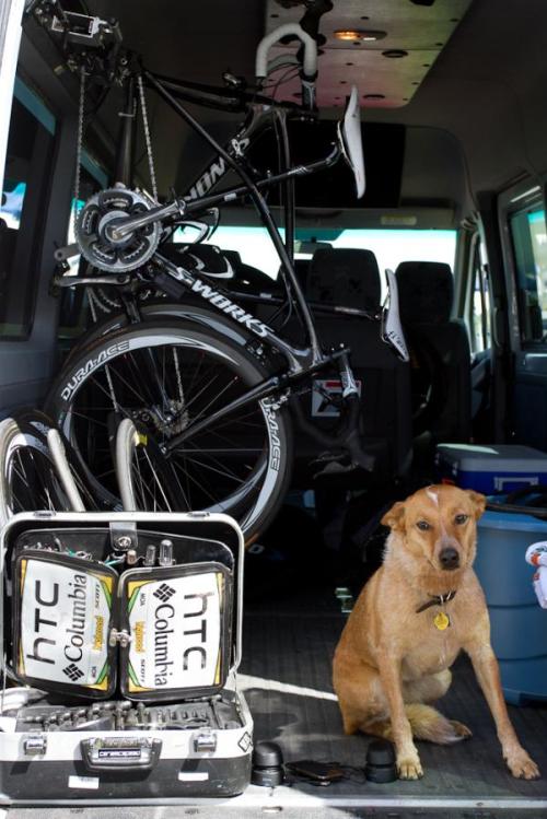 velotone: womenscycling:  Merco Cycling Classic: Sophie Waits Patiently For Her Human (Ina-Yoko Teut