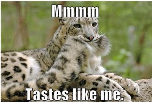 lolsofunny:  Hysterical Blog!