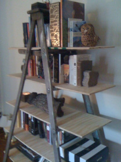 mossinthefur:  Book shelf I made out of an old ladder I found in an alley. Super easy to make. All you have to do is measure and buy the wood for the shelves!  Photo: Yours truly 