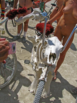 burningbikes:  Another look at the Bone Bike.