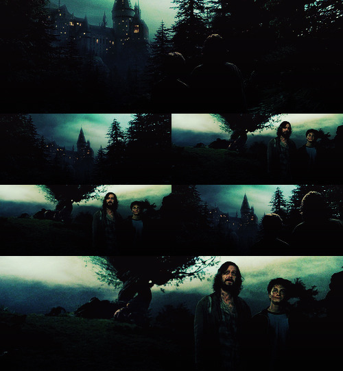 pureblood-:  Top 10 favorite Harry Potter scenes.  Sirius Black: It’s beautiful,