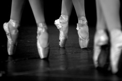 elle-pea:  This will be my summer, after 17 years, I cannot wait to start Ballet lessons again. Wish i’d never given it up.  I need to buy pointe shoes so I can practice and feel like a ballerina.