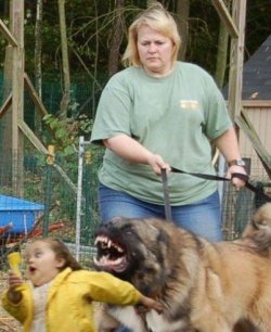 runningwithlions:  scaredwhitepeople:  scared by a Cujo  dying  im literally Rollng On The Floor Laughng .  