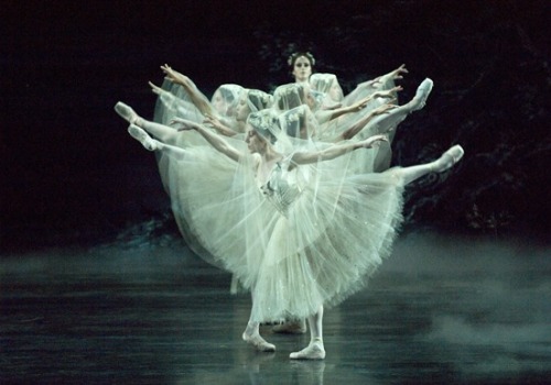 a-ballet-blog:Giselle is one of my favorite ballets; it’s one of those ballets that really mak