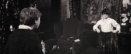 ♥ Harry Potter Lovers ♥