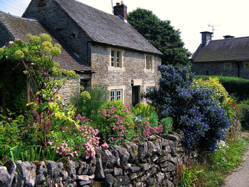 Cottage Garden in Tissington, Derbyshire (by JR P)