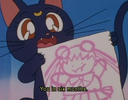 cat-ventures