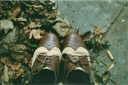 bluelungs:  (by Megan Clarkson)  waaaant >:c