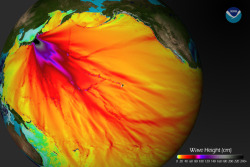 reblololo:  Earthquake Is Biggest in Japan’s Recorded History | Wired Science | Wired.com 