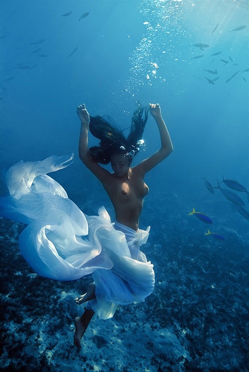 gildam:Photo by Vitaly Sokol aka Willyam Bradberry