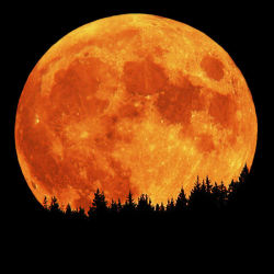 sweetminnie:  Biggest full moon in 19 years