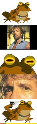 Hipnotoad vs Chuck Norris