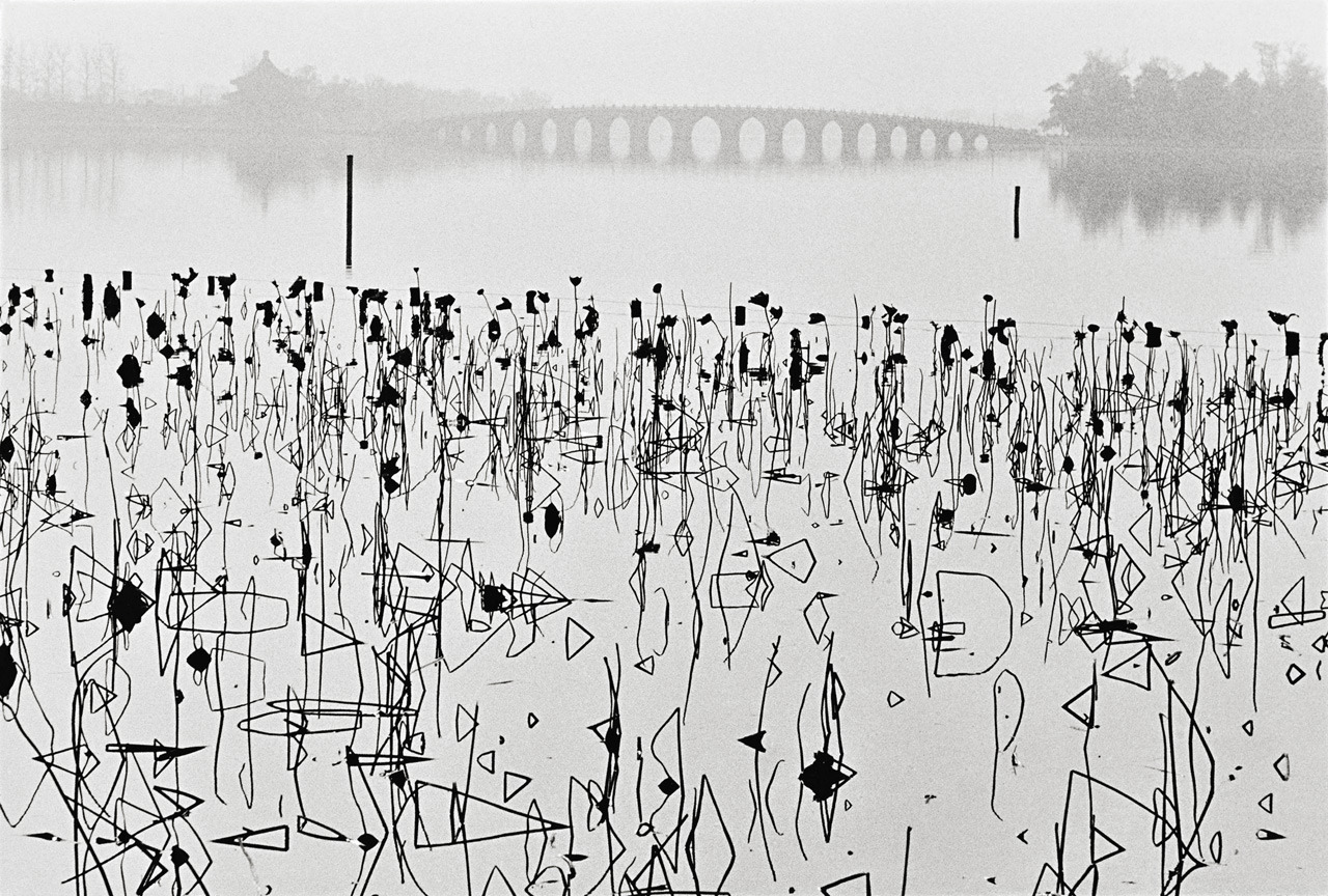 René Burri
Wilted Lotus Blossoms, former Summer Palace,
Kunming Lake, Beijing, China, 1964
[also]
Thanks to melisaki