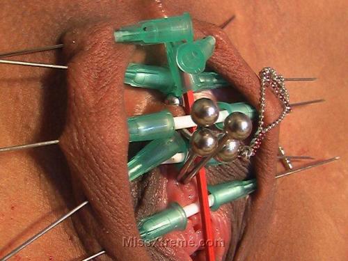 BDSM needle play with four rods in peehole.
