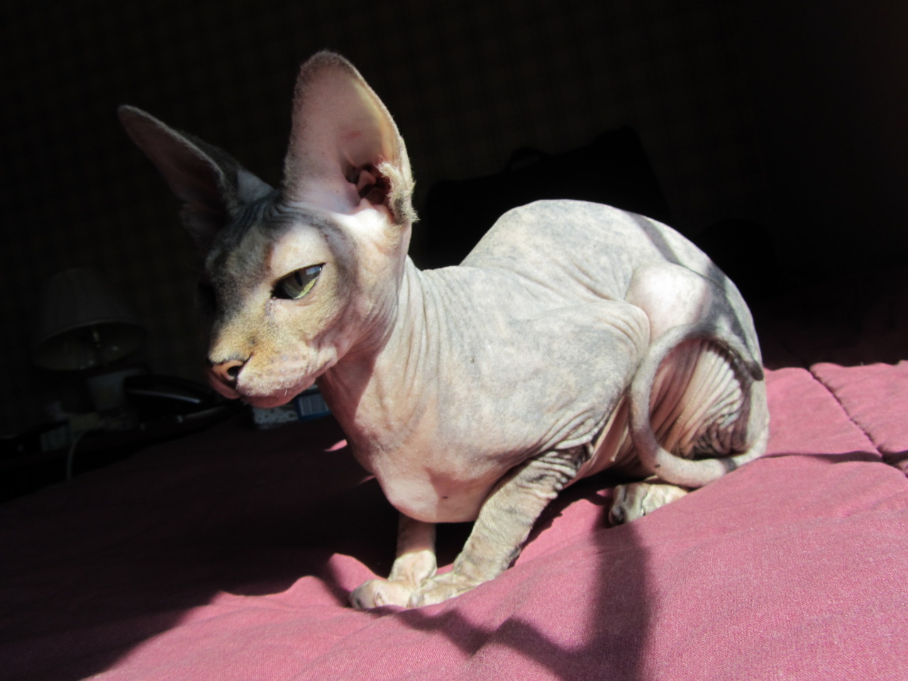 Suddenly&hellip;MINGMING. Took a bunch of pictures of her since I&rsquo;m