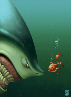 Denis Zilber  Bruce Vs Marlin Finding Nemo :D