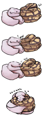 thedoomie:  after looking at this picture: http://danielle-darling.tumblr.com/post/2949908166  this little drawing came of snakes smooch.. :I    @hurtme-itsall-ik