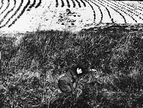 Il pittore Bastari photo by Mario Giacomelli, 1992